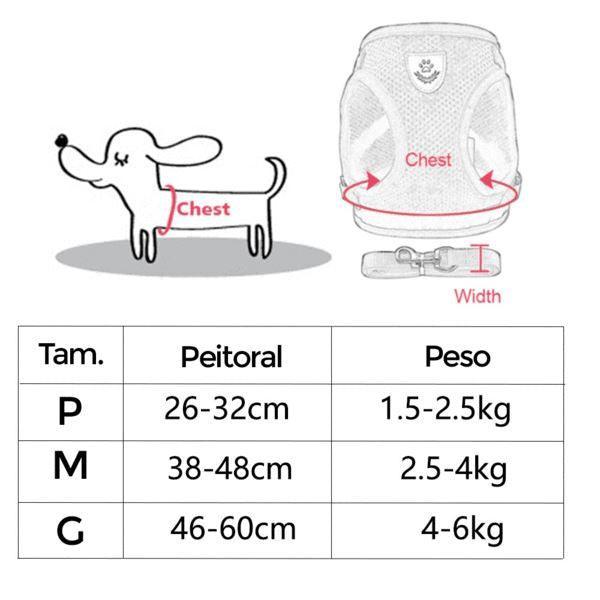 Peiteira - ChestDog